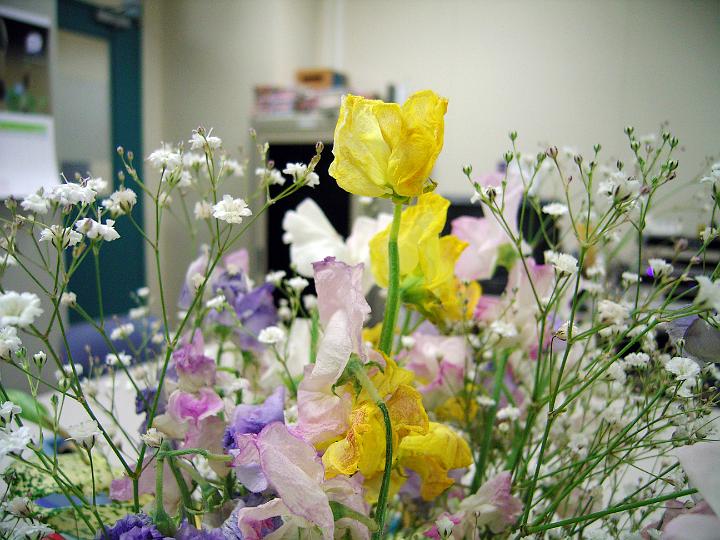 RIMG0253